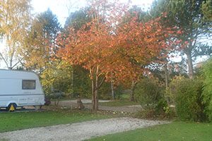 Autumn colour at Overbrook Caravan Park