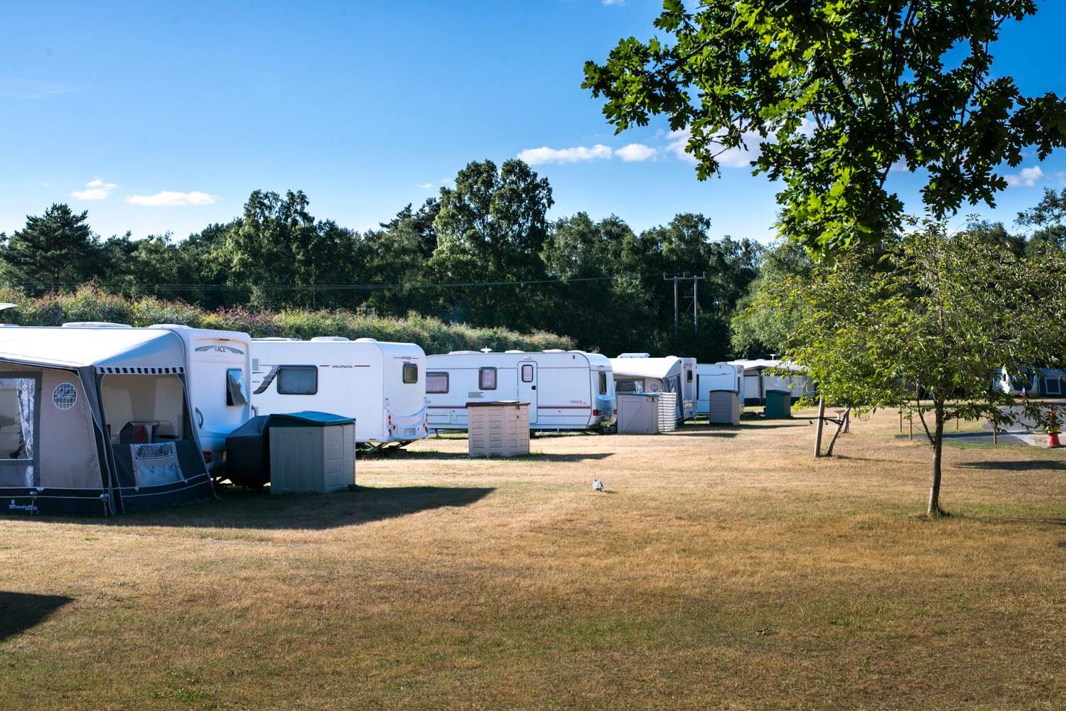 Seasonal Touring Pitches & Caravan Holidays Tranquil Parks Seasonal Touring Pitches & Caravan Holidays Tranquil Parks