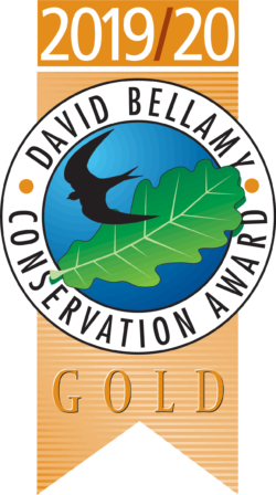 David Bellamy Gold Award 2019/20