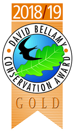 David Bellamy Gold Award 2018/19