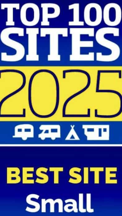 Top 100 2025 Best Small Site