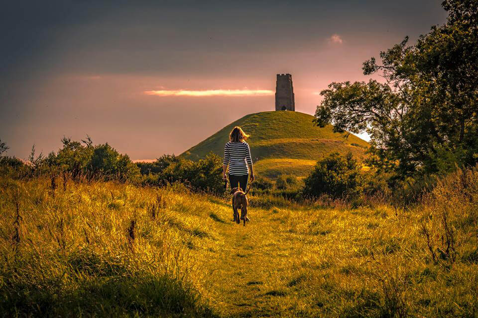 Old Oaks Glamping & Camping | Tranquil Parks