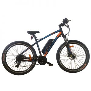 Electrically assisted mountain bike