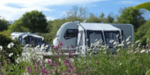 Pitches at Trethem Mill Touring Park