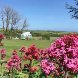 Parkland Caravan, Camping & Glamping Site joins Tranquil Parks