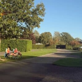 Tranquil Parks news November 2025