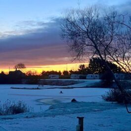 Tranquil Parks news January 2026