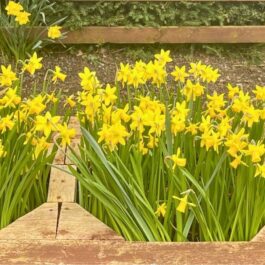 Tranquil Parks news March 2026