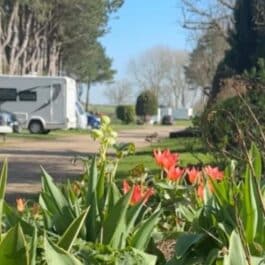 Tranquil Parks news April 2026