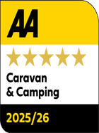 AA 5 Gold Stars 2026